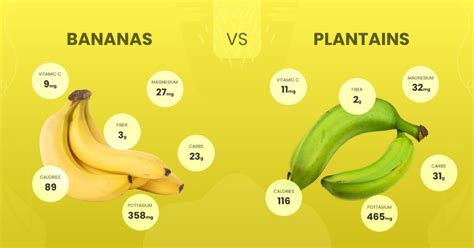 plantains vs bananas.